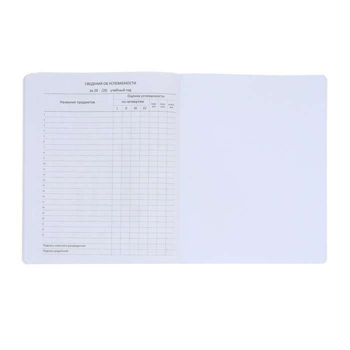 Дневник универсальный для 1-11 класса Private, твёрдая обложка, искусственная кожа, ляссе, 80 г/м2