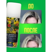 Сухой шампунь для волос Valori Tropical Fresh, 75 мл Сухой шампунь для волос Valori Tropical Fresh, 75 мл