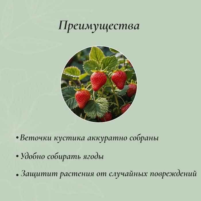 Кустодержатель для клубники, d = 20 см, h = 25 см, ножка d = 0.3 см, металл, зелёный, Greengo Кустодержатель для клубники, d = 20 см, h = 25 см, ножка d = 0.3 см, металл, зелёный, Greengo