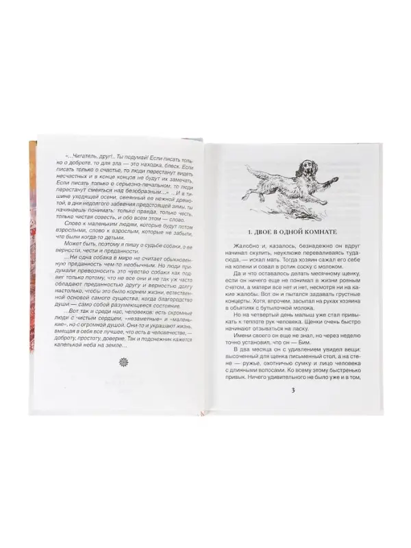 Внеклассное чтение. Белый Бим Чёрное ухо. Автор: Троепольский Г.