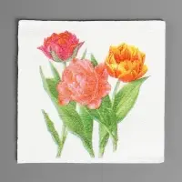Салфетки бумажные Гармония цвета многоцветие "Тюльпаны", 24*24 см 50 листов