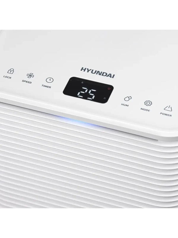 Электрический осушитель H-DH10-P81WF