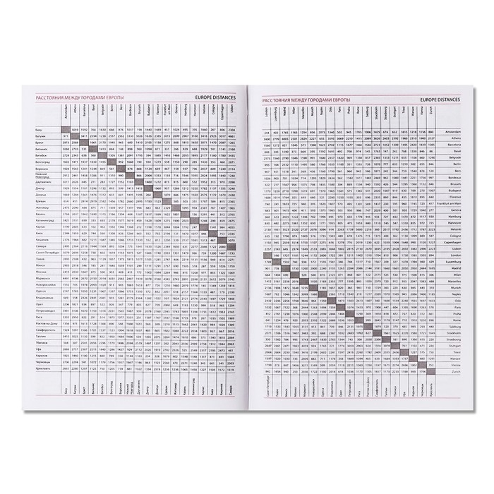 Ежедневник недатированный А5, 160 листов "Вивелла", обложка искусственная кожа, серый