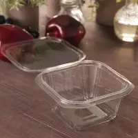 Контейнер одноразовый с неразъёмной крышкой КР-СК, пластик, 500 мл, 13.7&times;14.2&times;6.8 см, прозрачный