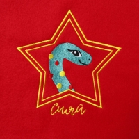 Набор подарочный "Ты-звезда" плед и акс