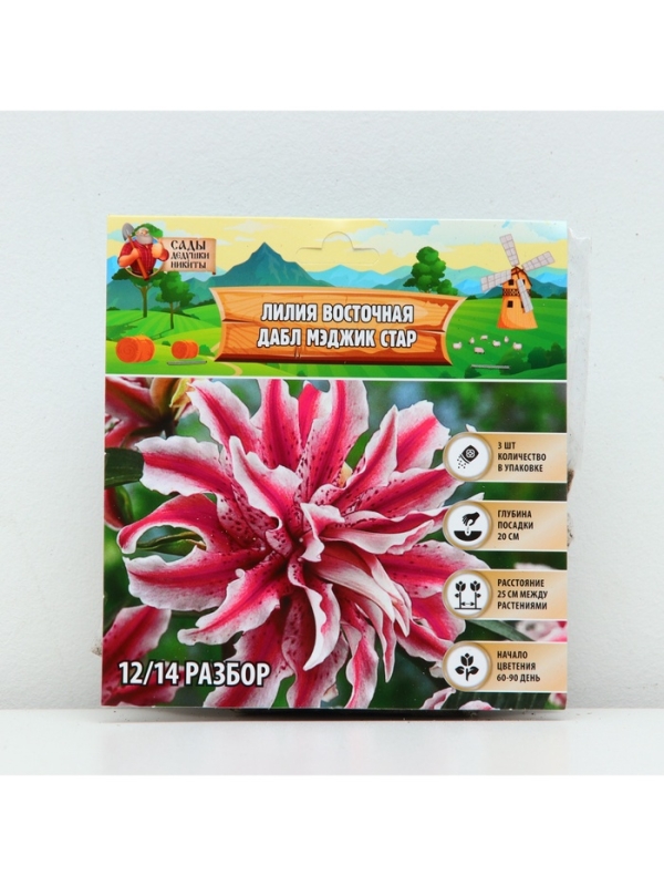 Лилия Восточная &laquo;Дабл Мэджик Стар&raquo;, луковица в пакете с перфорацией, р-р 12/14, 3 шт.