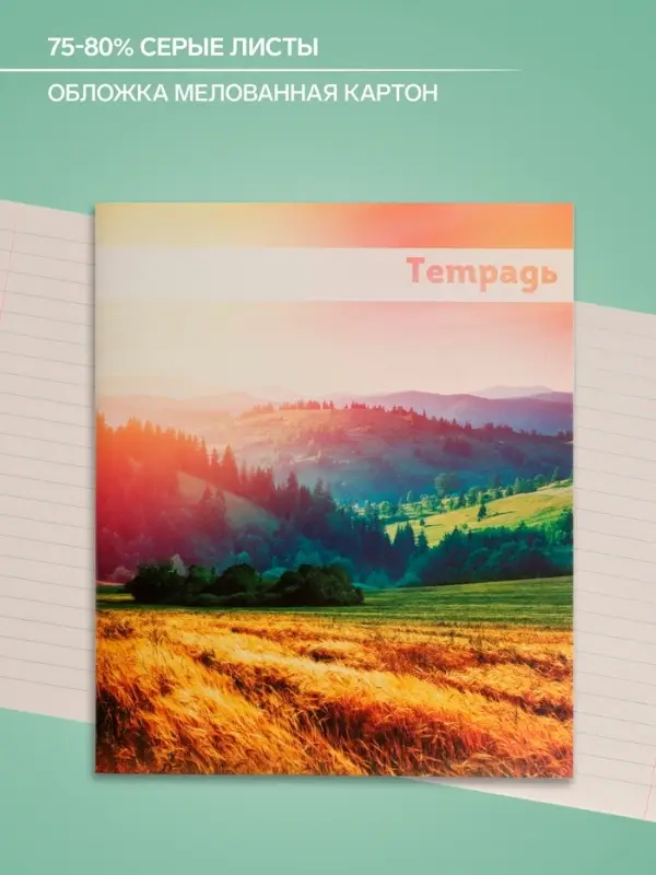 Тетрадь 48 листов в линейку Calligrata &laquo;Красоты природы&raquo;, обложка мелованная бумага, блок №2, белизна 75%, МИКС