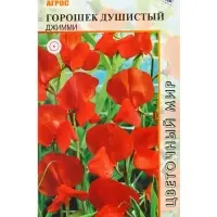 Семена Горошек душистый Джимми 1 г