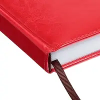 Ежедневник недатир А5 160л Небраска красный