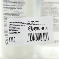 Дорожный набор косметики &laquo;Ежедневный уход&raquo;, шампунь для волос 2в1 и гель для душа, 2 х 100 мл, BEAUTY FOX