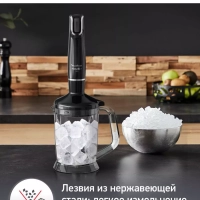 Погружной блендер Infinyforce DD94L810, черный