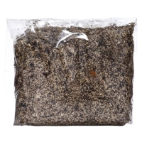 Лилия Азиатская Кашпо "Cascavel", р-р 12/14, 2 шт, Весна 2025, ЭКОНОМ,