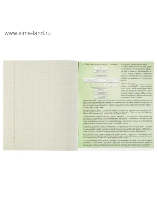 Тетрадь предметная 48 листов в клетку Calligrata, &laquo;Чёрное-белое. Биология&raquo;, обложка мелованная бумага, серые листы