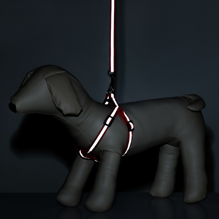 Комплект со светоотражающей лентой, ошейник 120 х 1 см, ОГ 26-40 см, красный