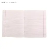 Тетрадь &laquo;Зелёная обложка&raquo;, 24 листа, в линейку, ГОСЗНАК