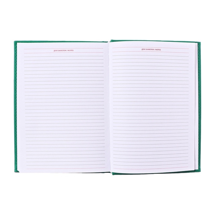 Ежедневник недатированный А5, 160 листов "Вивелла", обложка искусственная кожа, светло-зелёный