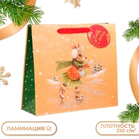 Новый год. Пакет подарочный "Зайка на льду", люкс, 36 х 32 х 12 см. Новый год. Пакет подарочный "Зайка на льду", люкс, 36 х 32 х 12 см.