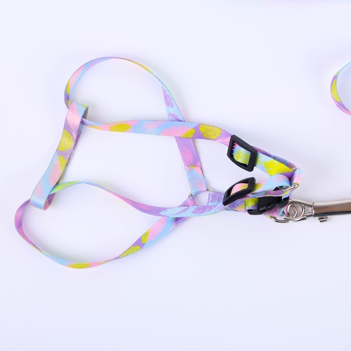 Комплект &laquo;Листья&raquo;, шлейка 24-36 см, поводок 120х1 см