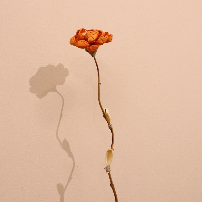 Сухоцвет на бамбуковом стебле 150 см оранжевый Сухоцвет на бамбуковом стебле 150 см оранжевый