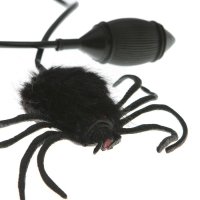 Прикол &laquo;Прыгающий паук&raquo;