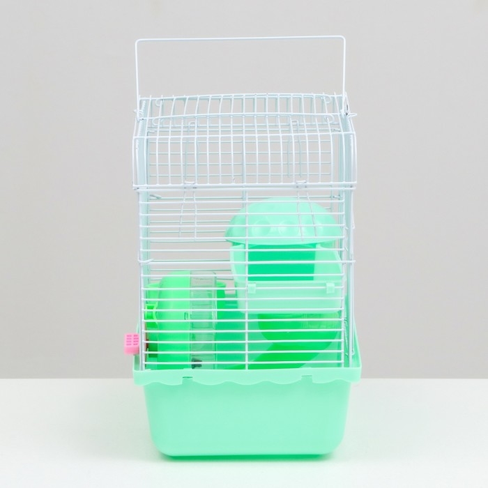 Клетка для грызунов "Пижон", 23 х 17 х 26 см, эмаль, зелёная