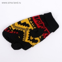 Свитер, размер 6 (24-28 см), микс расцветок Свитер, размер 6 (24-28 см), микс расцветок