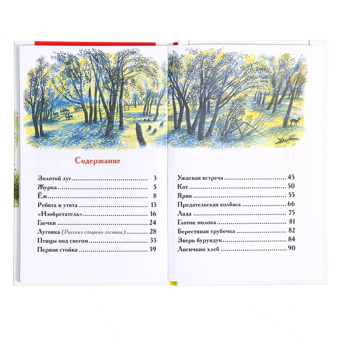 Книга &laquo;Рассказы о природе&raquo;, Пришвин М.М., внеклассное чтение