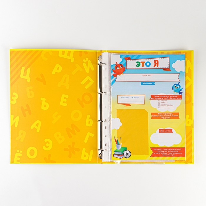 Папка школьная на кольцах &laquo;Портфолио дошкольника&raquo;, 14 листов-разделителей, 24,5 х 32 см.