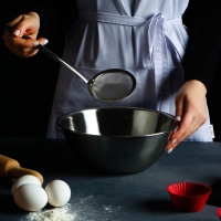 Сито для снятия пены из нержавеющей стали Доляна &laquo;Металлик&raquo;, 26&times;10 см