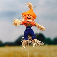 Огородное пугало &laquo;Тыква&raquo;, h = 50 см, МИКС, Greengo