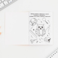 Подарочный набор на выпускной &laquo;Выпускника детского сада&raquo; , блокнот-раскраска, расписание уроков и восковые мелки 4 шт ,