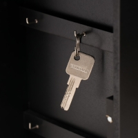 Ключница дерево "Лист монстеры" чёрная, зеркальная 6х22,3х29,5 см