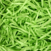 Наполнитель тишью, салатовый, 50 г Наполнитель тишью, салатовый, 50 г