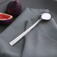 Ложка столовая Доляна &laquo;Пулкин&raquo;, длина 19 см, толщина 1,2 мм