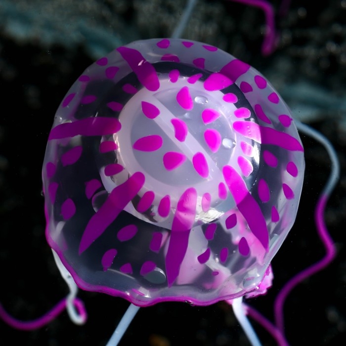 Декор для аквариума Декор для аквариума "Медуза" силиконовая, флуоресцентная, 5 х 5 х 15 см, фиолетовая