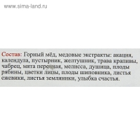 Эликсир монастырский &laquo;От головных болей&raquo; 100 мл