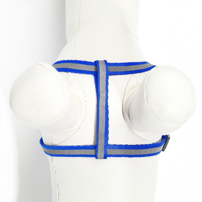 Комплект со светоотражающей лентой, ширина 1 см, поводок 120 см, шлейка 26-40 см, синий