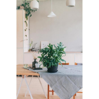 Горшок с поддоном &laquo;Ротанг&raquo;, 4,7 л, цвет коричневый