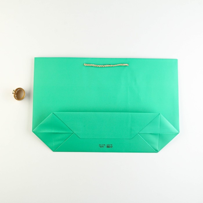 Пакет подарочный, упаковка, &laquo;Можно всё&raquo;, 30 х 27.5 х 12 см