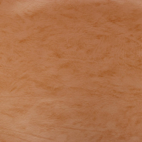 Комплект для обивки дверей 110 × 205 см: иск.кожа, поролон 3 мм, гвозди, бежевый, «Эконом» Комплект для обивки дверей 110 × 205 см: иск.кожа, поролон 3 мм, гвозди, бежевый, «Эконом»