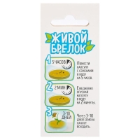 Набор для опытов &laquo;Живой брелок&raquo;, мини-сад, вырасти сам