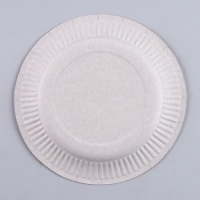 Тарелка одноразовая бумажная &laquo;Ведьмы не стареют&raquo;, набор 6 шт.