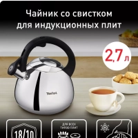 Чайник для плиты Duetto+ N4180110, 2.7 л, стальной