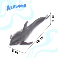 Набор морских животных &laquo;Морские жители&raquo;, 6 фигурок