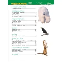 Энциклопедия для детского сада &laquo;Животные России&raquo;