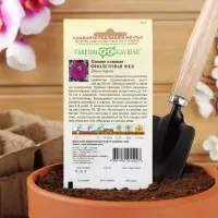 Семена цветов Цинния "Фиолетовая фея", ц/п,  0,3 г