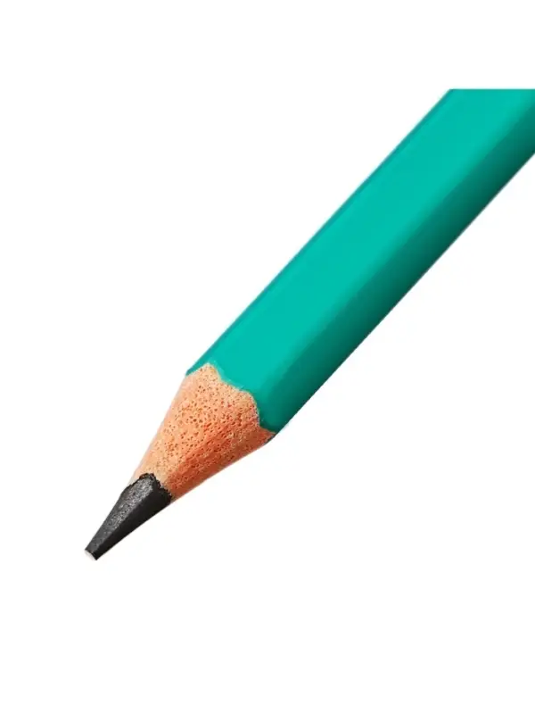 Набор карандашей чернографитных 12 штук, Calligrata Classic, с ластиком, заточенные, пластик, трехгранные, зеленые