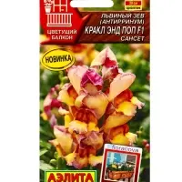 Семена цветов Львиный зев Кракл энд поп F1 сансет  С. Floranova Цветущий балкон, Ц/П,7 шт.