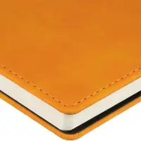 Ежедневник Spring Urban на заказ, недатированный, оранжевый