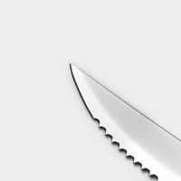 Нож для мяса Доляна &laquo;Страйп&raquo;, зубчатое лезвие 11,5 см, цвет синий